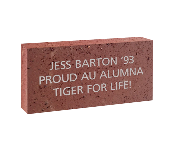[AUBURN 4X8 BRICK] 4x8 Brick (Paver)